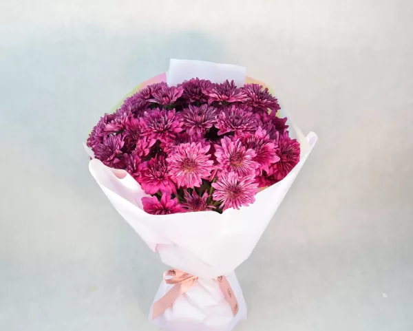 Violet Sunny Flower
