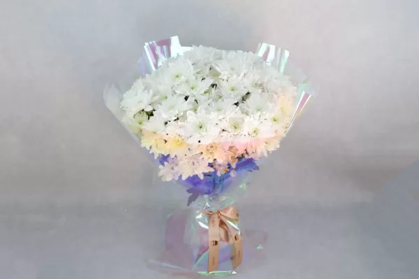 White Serenity 16Pcs