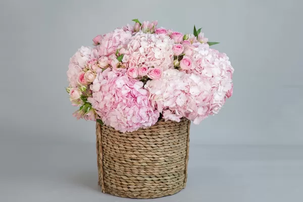 Pink cloud basket